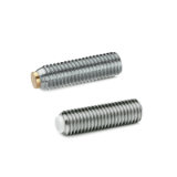 GN 913.5 Grub Screws with Brass / Plastic Pivot, Stainless Steel